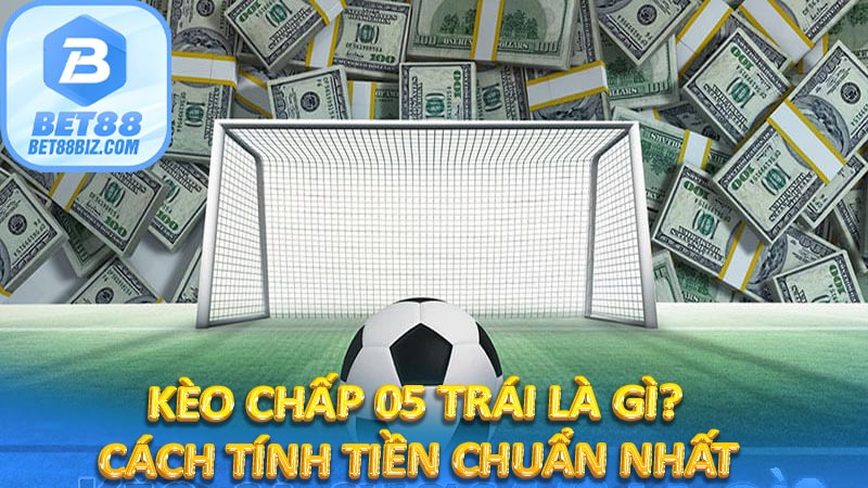 Kèo Chấp 05 Trái Là Gì? Cách Tính Tiền Chuẩn Nhất